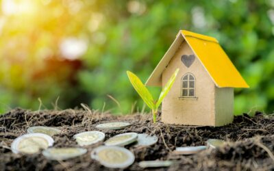 Investir dans l’immobilier durable : Les meilleures pratiques pour un avenir vert